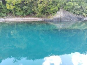 水中観光船（支笏湖観光船） からの景色 3